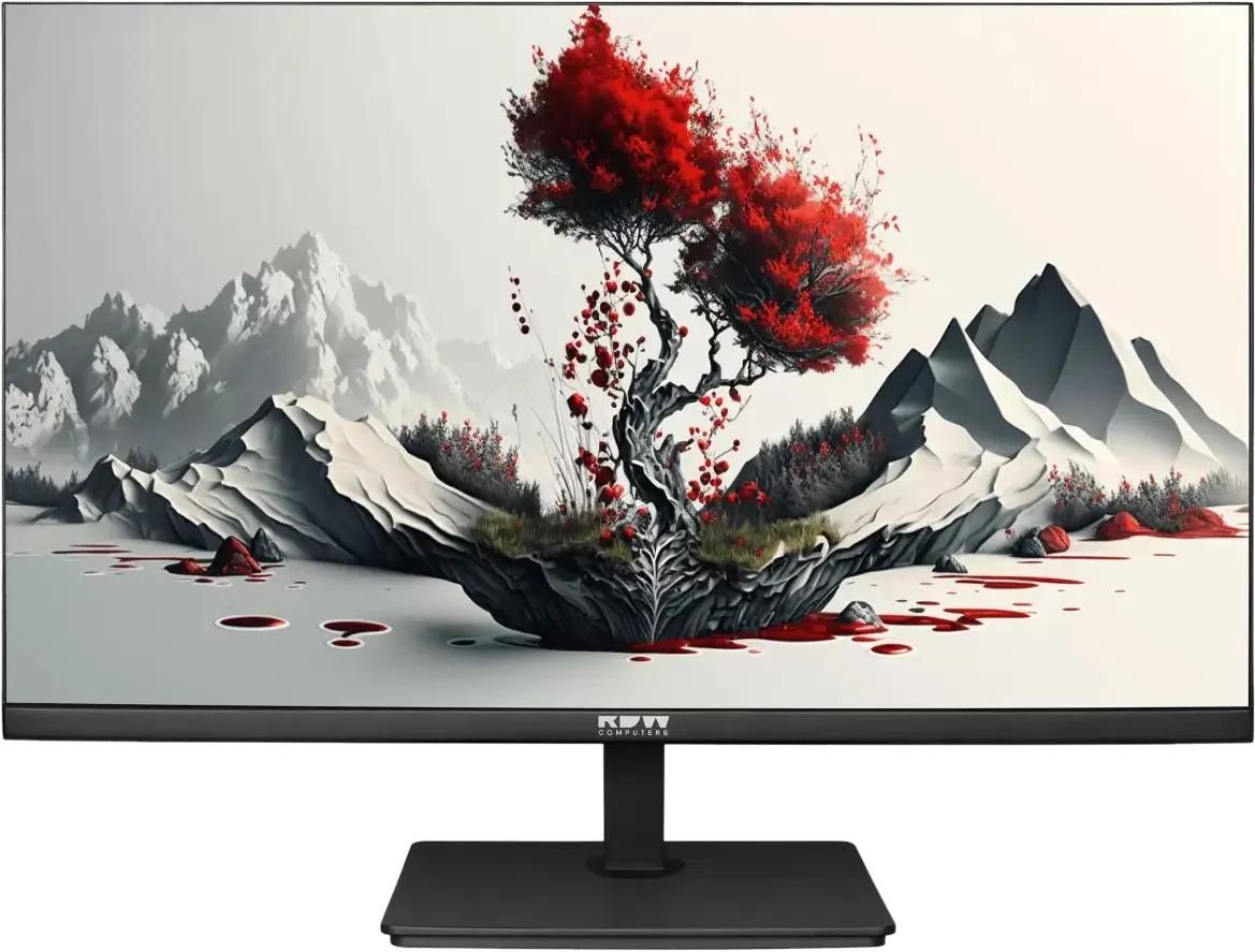 23.8" Монитор RDW COMPUTERS RDW2401K,  "R", 1920x1080,  IPS,  100Гц,  1хHDMI,  1хDP,  черный [2401k/f00в3100v2a1h]